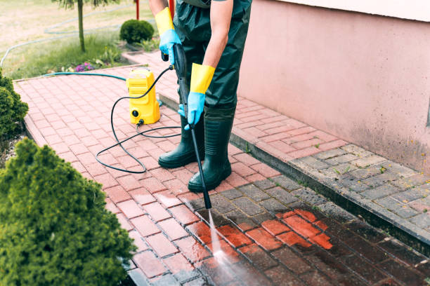 Best Driveway Pressure Washing  in Bridgeville, PA